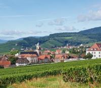 Vosges Hills